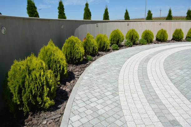 Best Driveway Resurfacing Pavers  in Junction City, OR